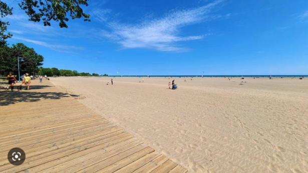 Stunning Studio in the Beaches Toronto Exterior foto