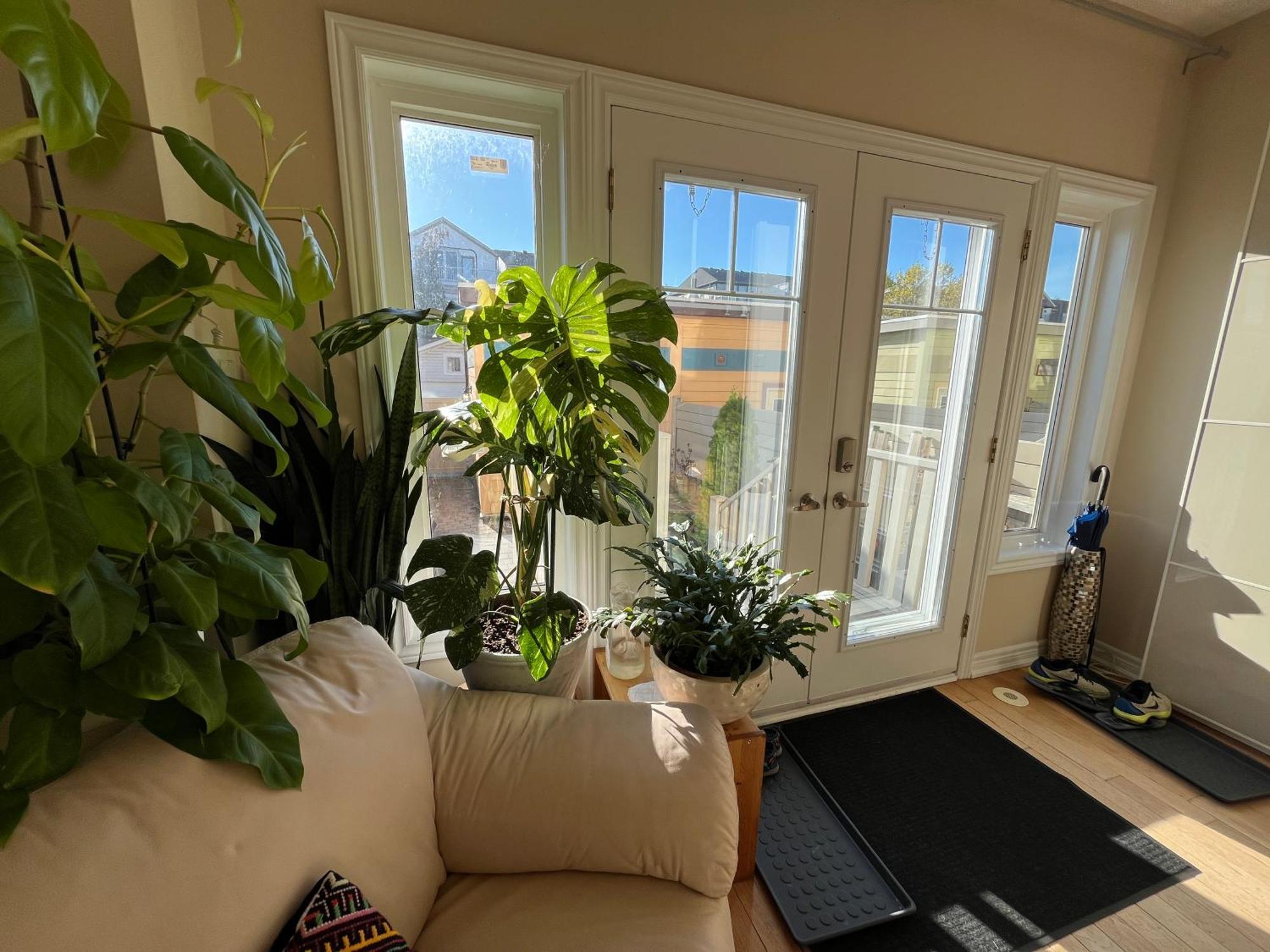 Stunning Studio in the Beaches Toronto Exterior foto